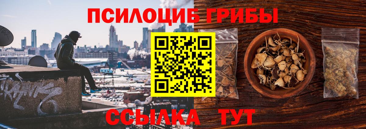 Псилоцибиновые грибы ЛСД  Вход с VPN  Псилоцибиновые грибы ЛСД  Усть-Лабинск 