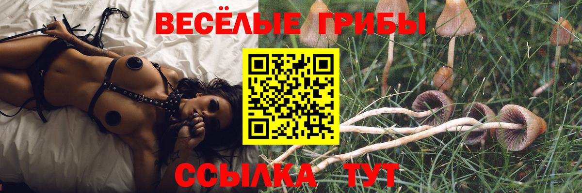Псилоцибиновые грибы GOLDEN TEACHER Усть-Лабинск
