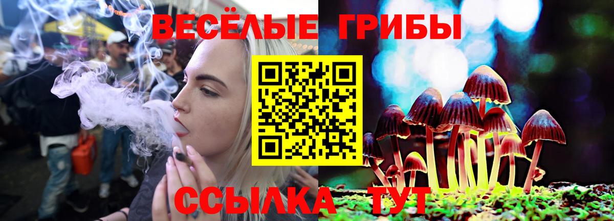 Галлюциногенные грибы Cubensis  купить закладку  Усть-Лабинск 